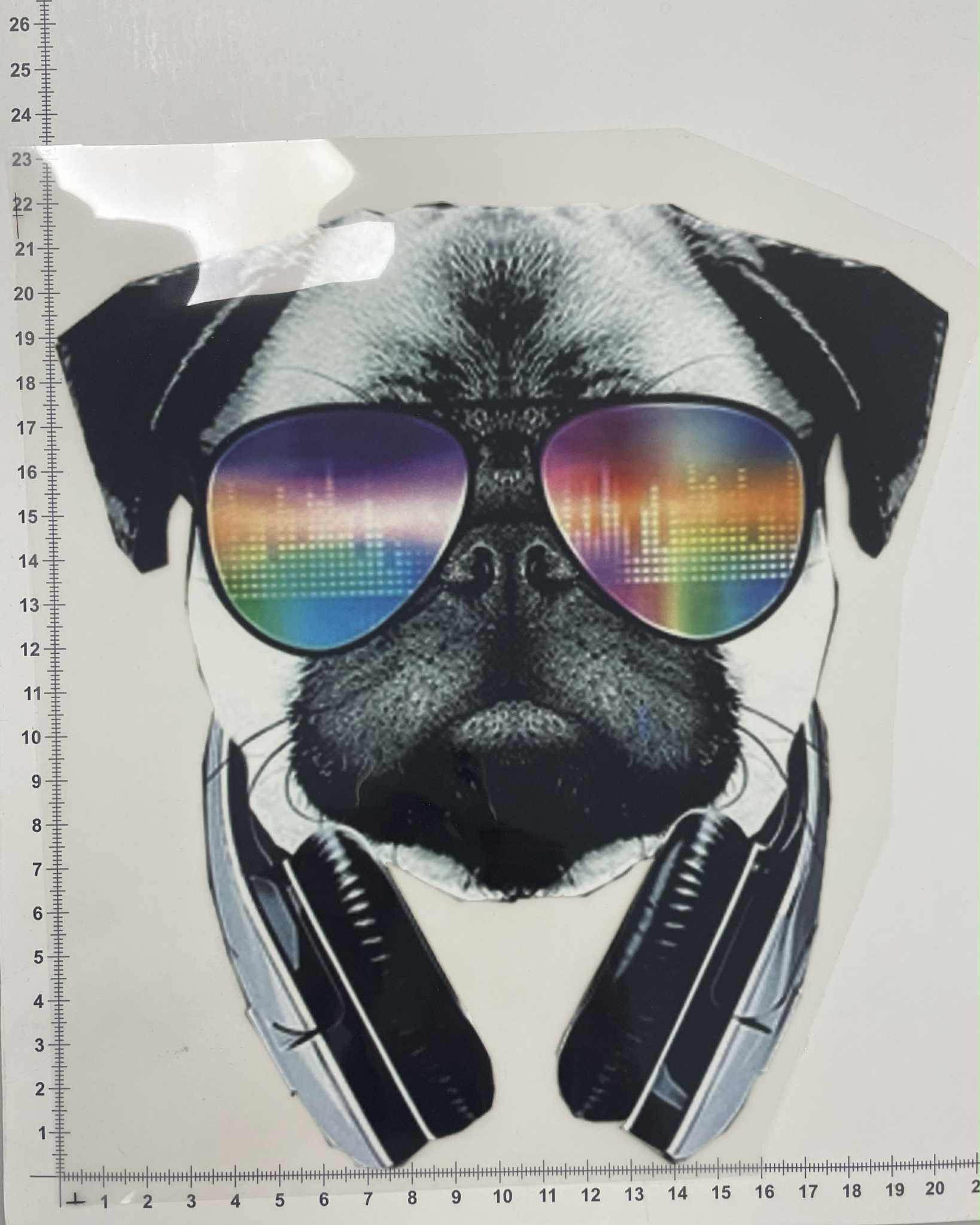 Termoaplikacija Mopsas su ausinėmis, didelė Termoaplikacija Mopsas su ausinėmis, didelė