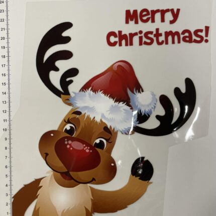 Termoaplikacija Rudolfas Mojuoja