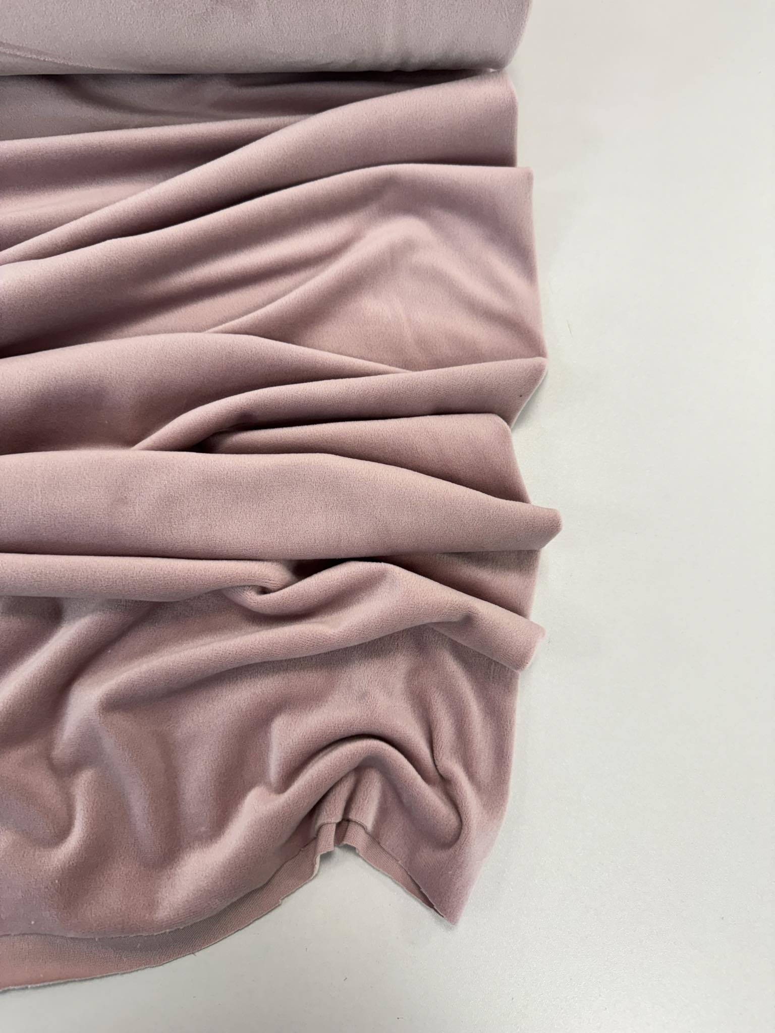 Soft veliūras Pelenų rožė — veliūras | Trys Pelėdos