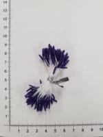 violetiniai