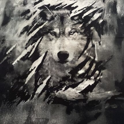 Kilpinio, skaitmeninės spaudos trikotažo panelė 60x70cm, Vilkas