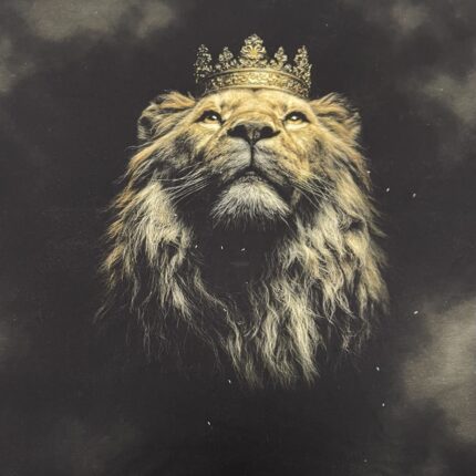 Kilpinio, skaitmeninės spaudos trikotažo panelė 60x70cm Liūtas