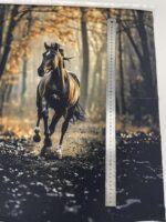 Kilpinio, skaitmeninės spaudos trikotažo panelė 60x70cm Juodas žirgas