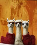 Kilpinio, skaitmeninės spaudos trikotažo panelė 60x70cm Trys Lamos