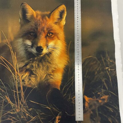 Kilpinio, skaitmeninės spaudos trikotažo panelė 60x70cm Lapė žiūri