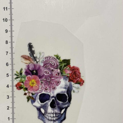 Termoaplikacija Kaukolė su plunksnom, maža