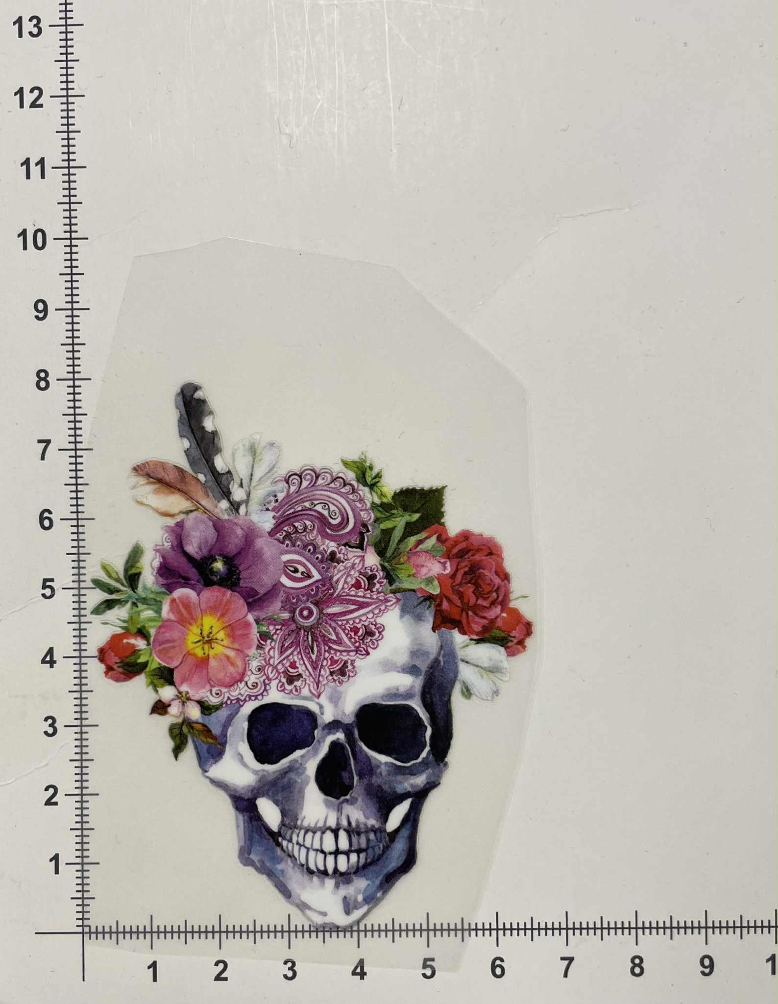 Termoaplikacija Kaukolė su plunksnom, maža Termoaplikacija Kaukolė su plunksnom, maža