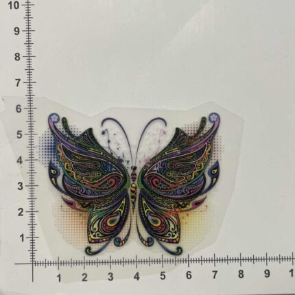 Termoaplikacija Įvairiaspalvis drugelis