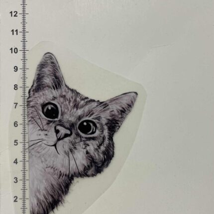 Termoaplikacija Katinas stebi