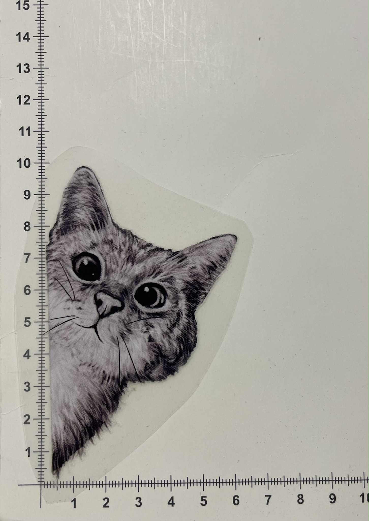 Termoaplikacija Katinas stebi Termoaplikacija Katinas stebi