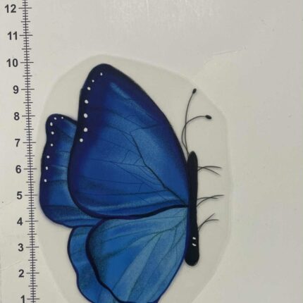 Termoaplikacija Mėlynas drugelis