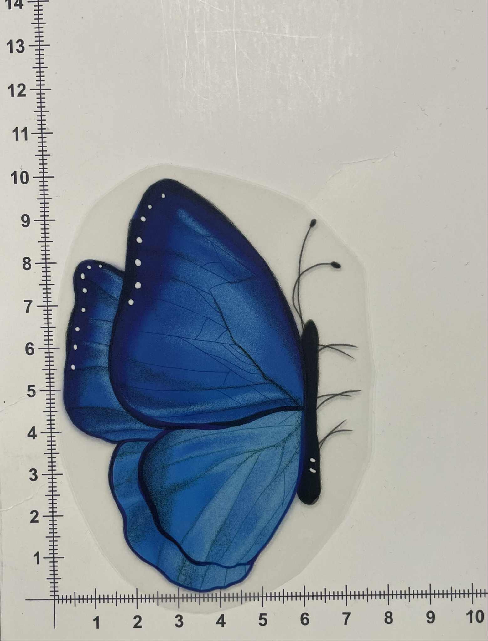 Termoaplikacija Mėlynas drugelis Termoaplikacija Mėlynas drugelis