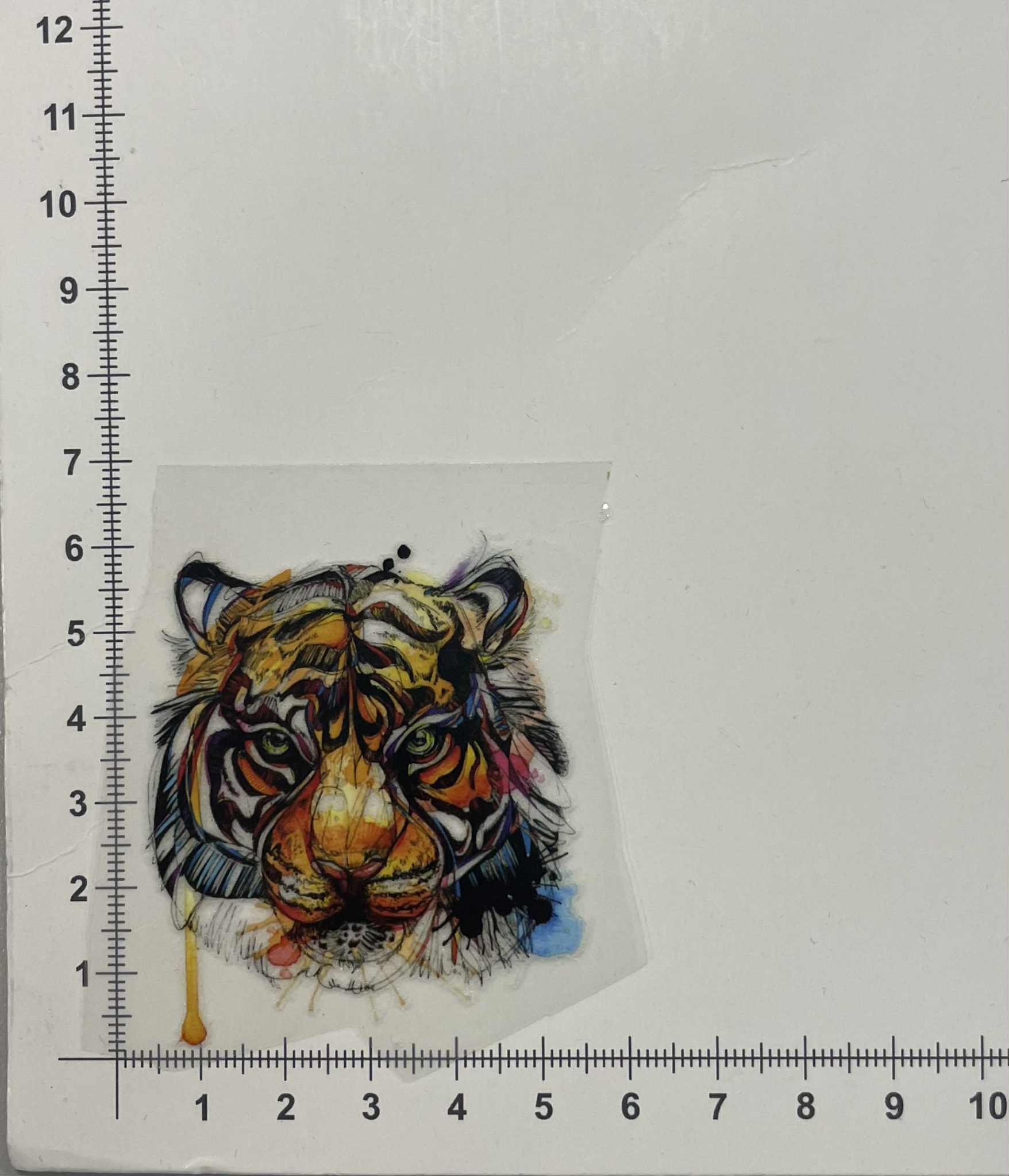 Termoaplikacija Tigras Termoaplikacija Tigras