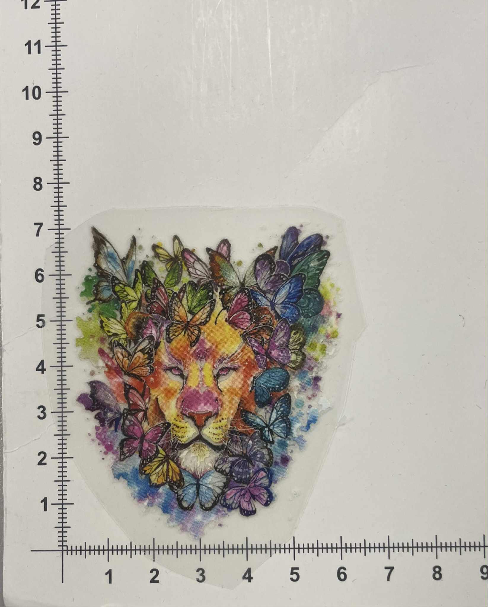 Termoaplikacija liūtas ir drugeliai Termoaplikacija liūtas ir drugeliai