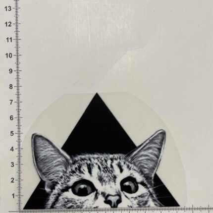 Termoaplikacija Katinas juodame trikampyje