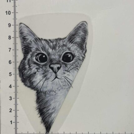 Termoaplikacija Katinas stebi iš kampo, maža