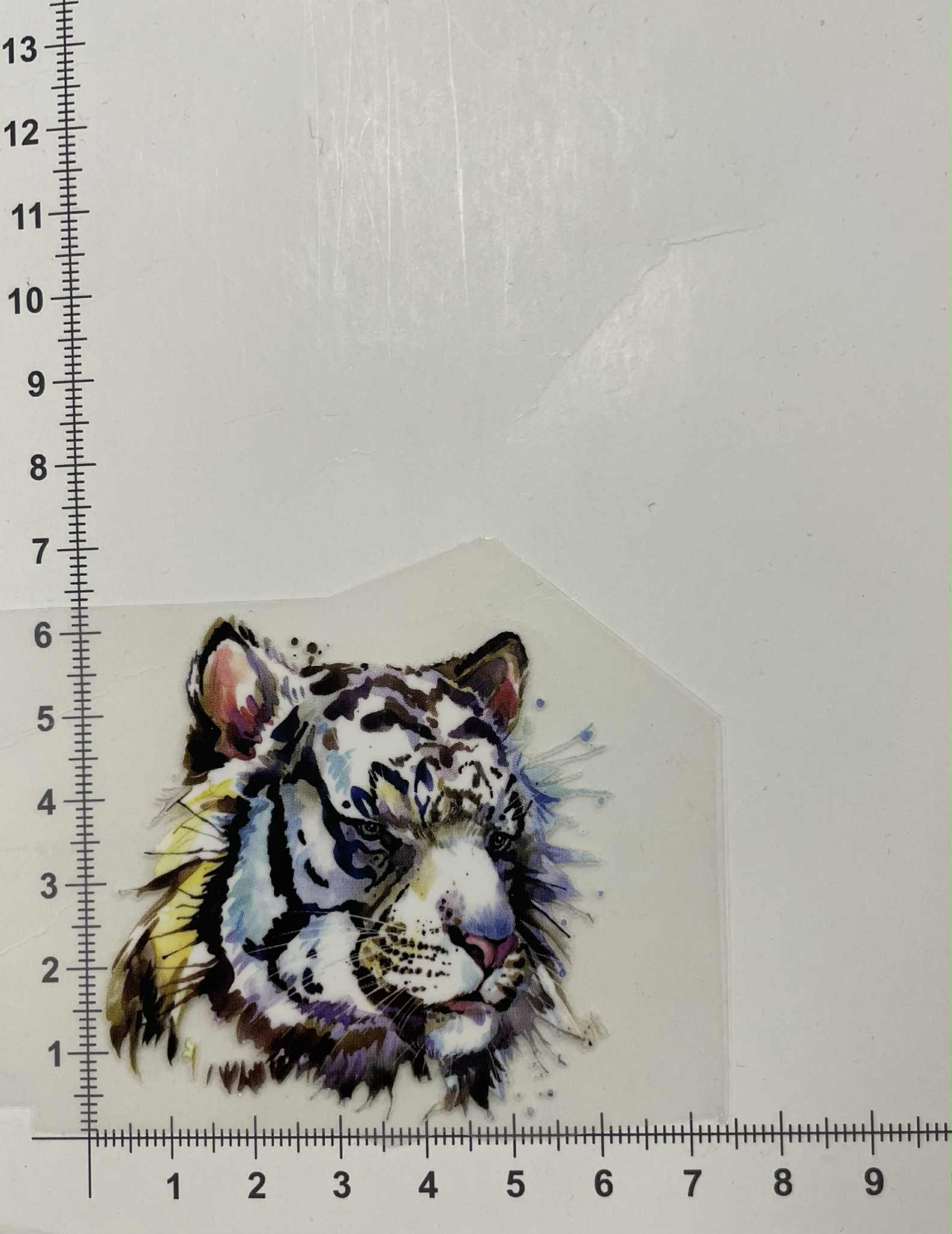 Termoaplikacija Baltas tigras Termoaplikacija Baltas tigras