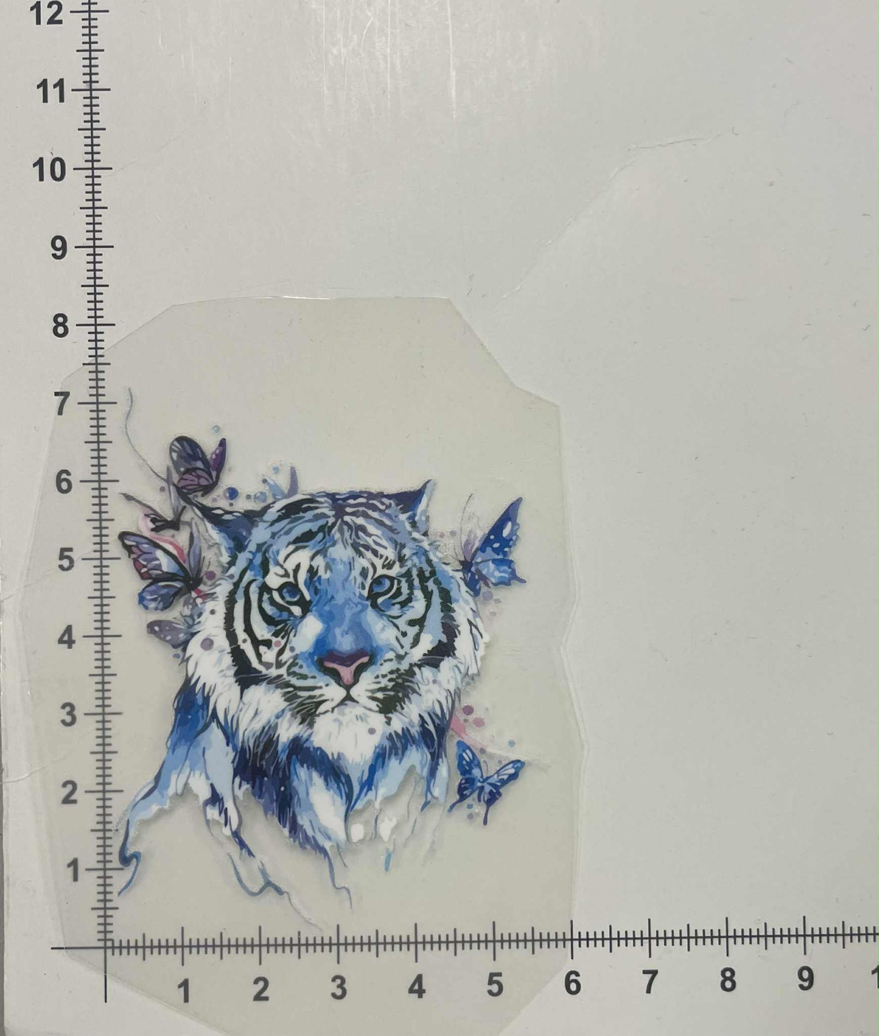 Termoaplikacija Tigras ir drugeliai Termoaplikacija Tigras ir drugeliai