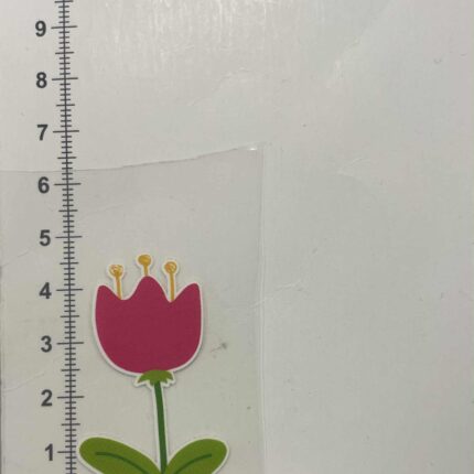 Termoaplikacija Rožinė Tulpė