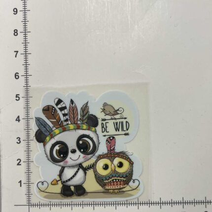 Termoaplikacija Du indėnai