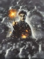 Kilpinis, skaitmeninės spaudos trikotažo fragmentas su panele, Haris Poteris