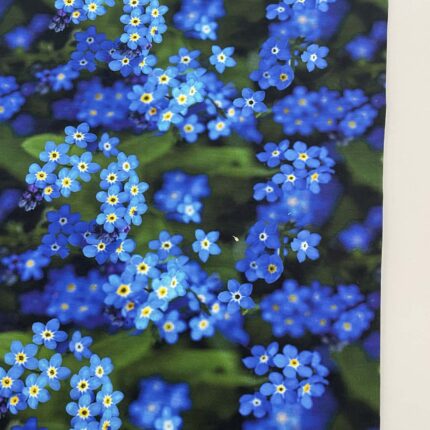 Kilpinis, skaitmeninės spaudos trikotažas Neužmirštuolės