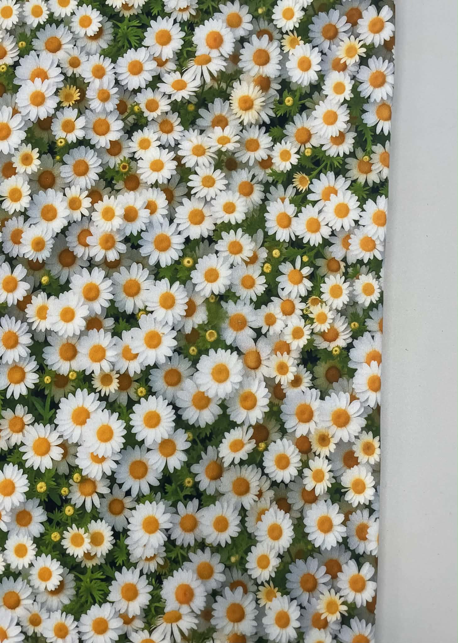 Kilpinis, skaitmeninės spaudos trikotažas Ramunėlės Kilpinis, skaitmeninės spaudos trikotažas Ramunėlės