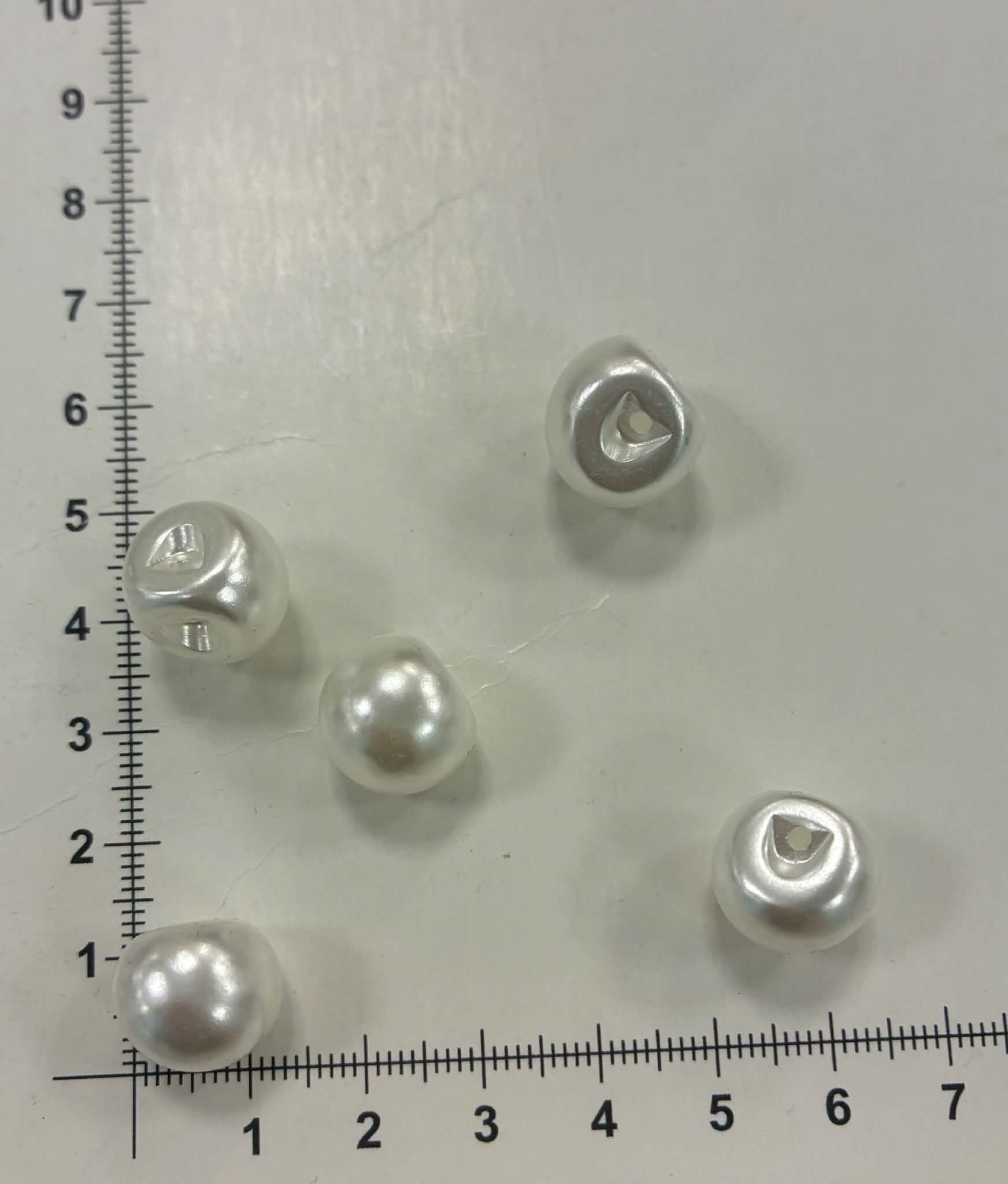 Saga perlamutrinis perliukas